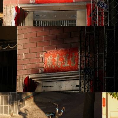 纪实模特