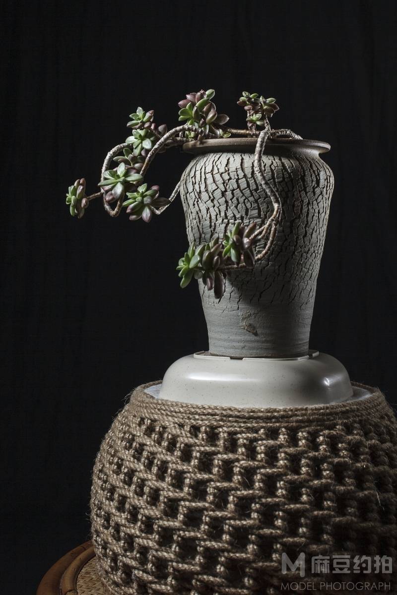 胶片模特