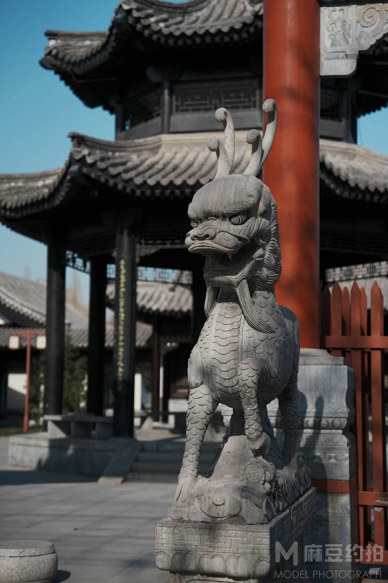 胶片模特