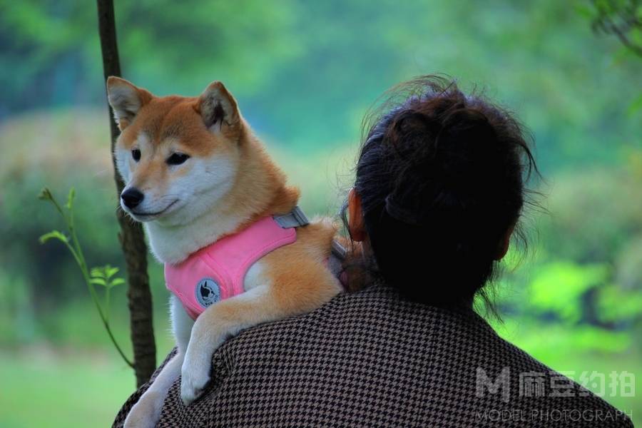 纪实模特