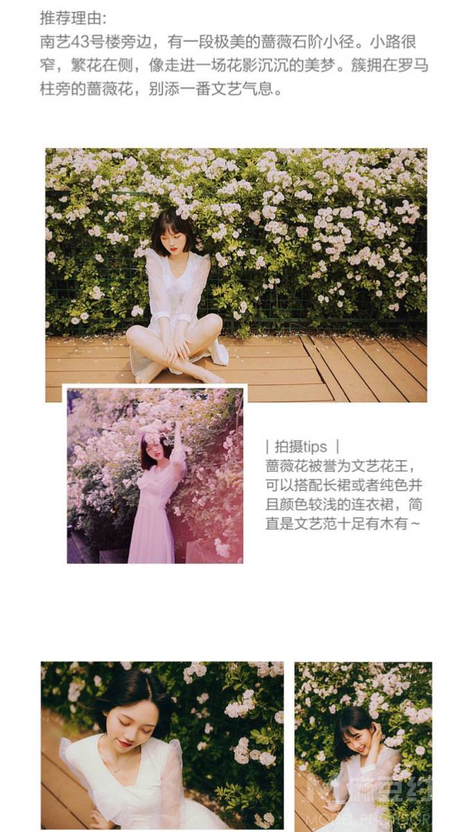 校园模特