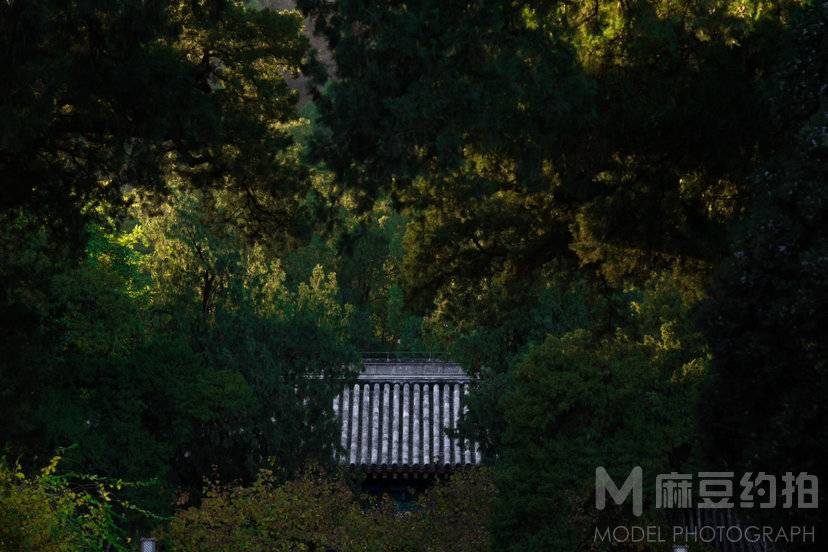 纪实模特