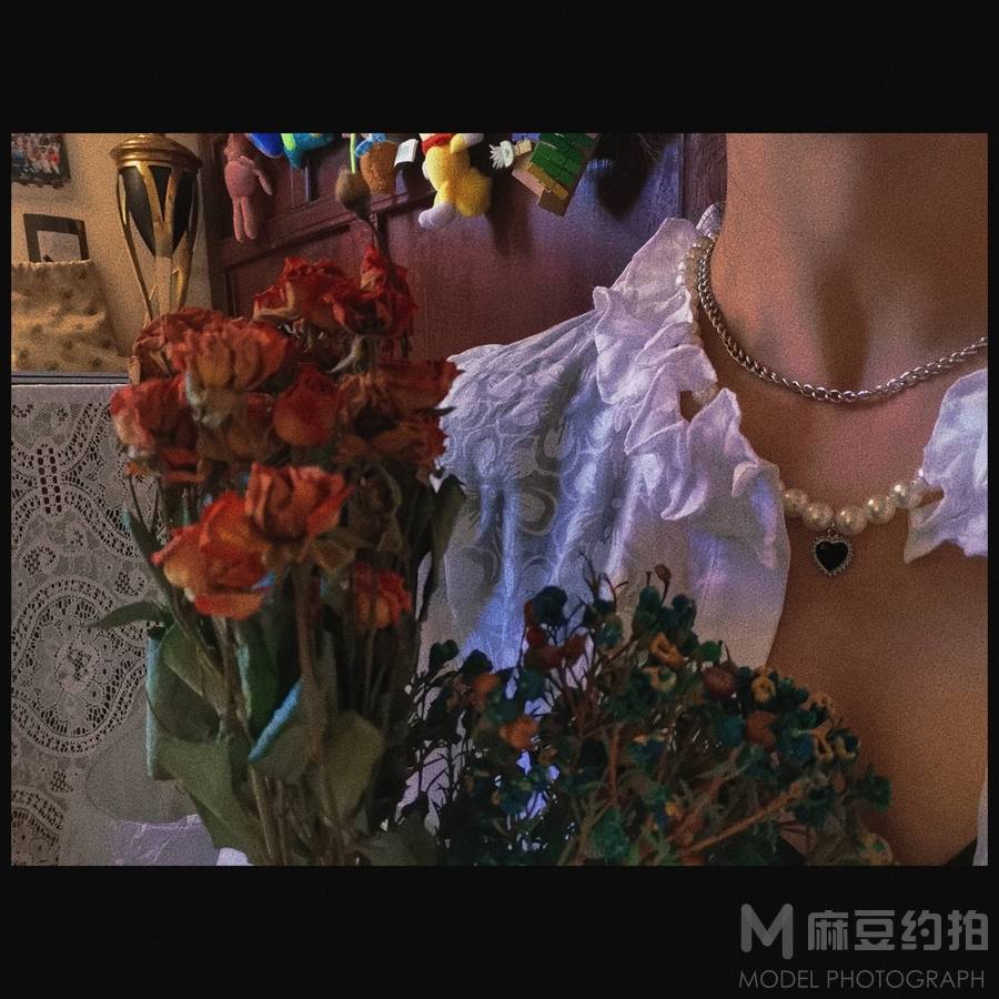 胶片模特