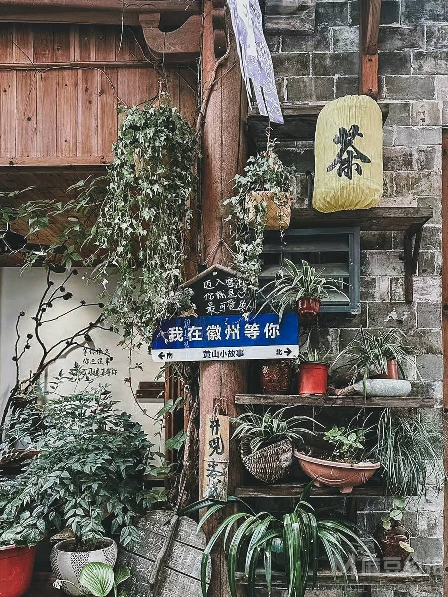 清新模特
