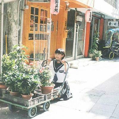 宝丽来模特