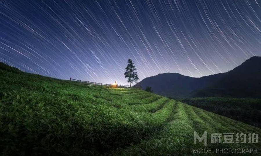 胶片模特