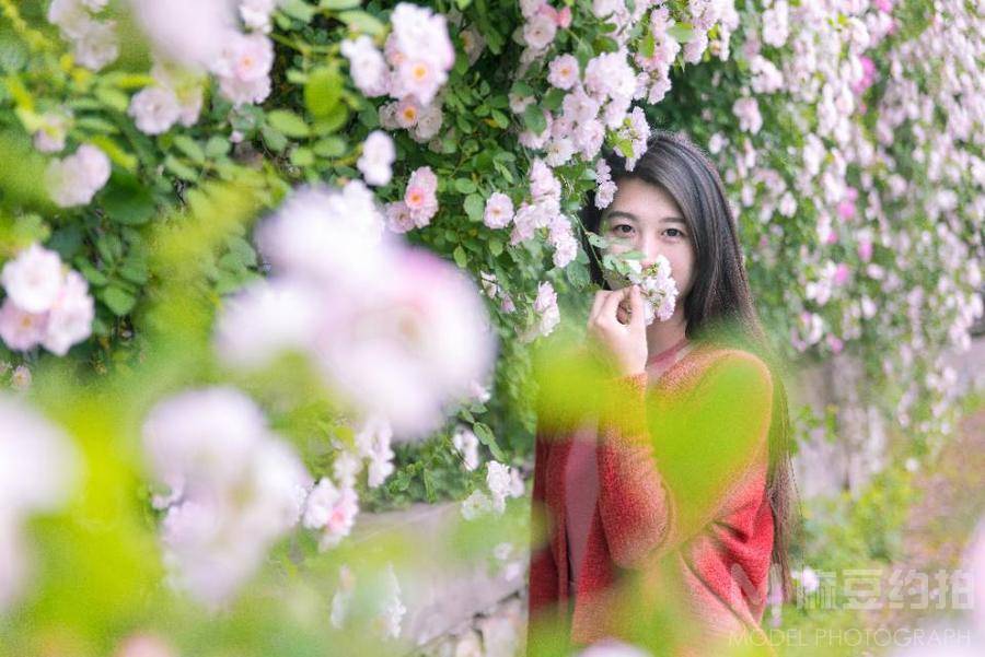 校园模特