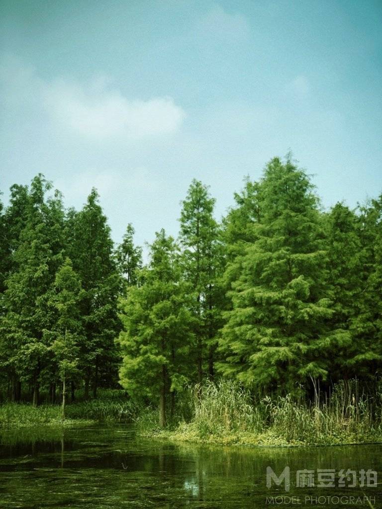 胶片模特