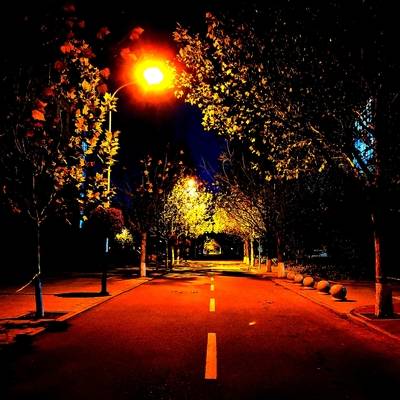 夜景模特