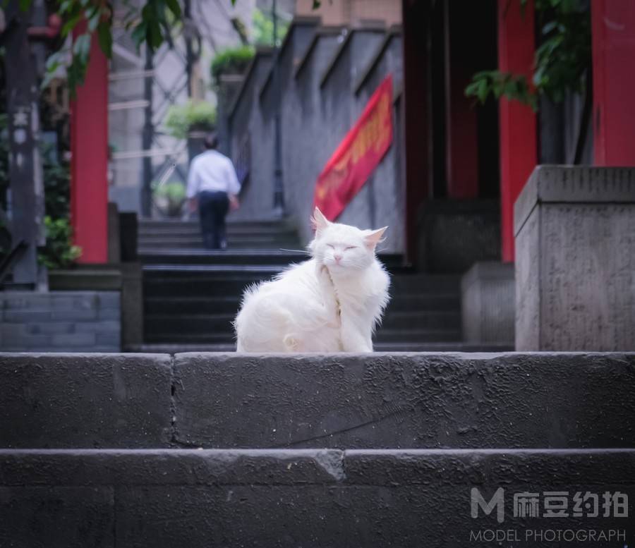 纪实模特