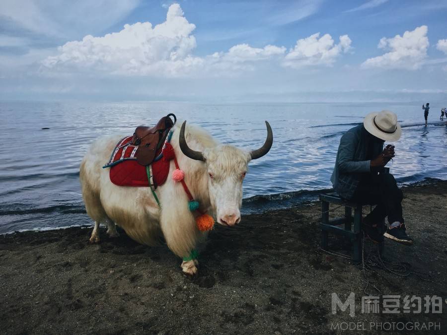 纪实模特