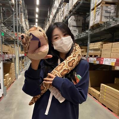 韩系模特