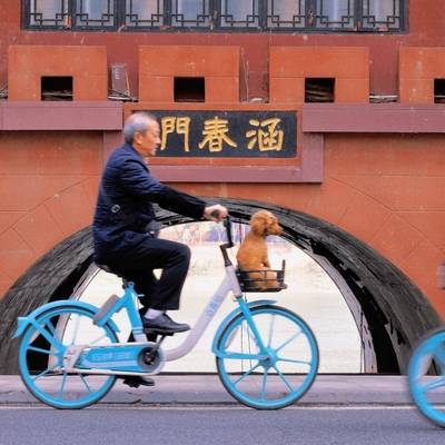 纪实模特