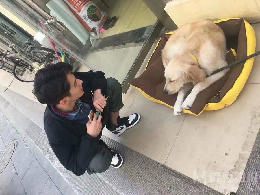 商务模特
