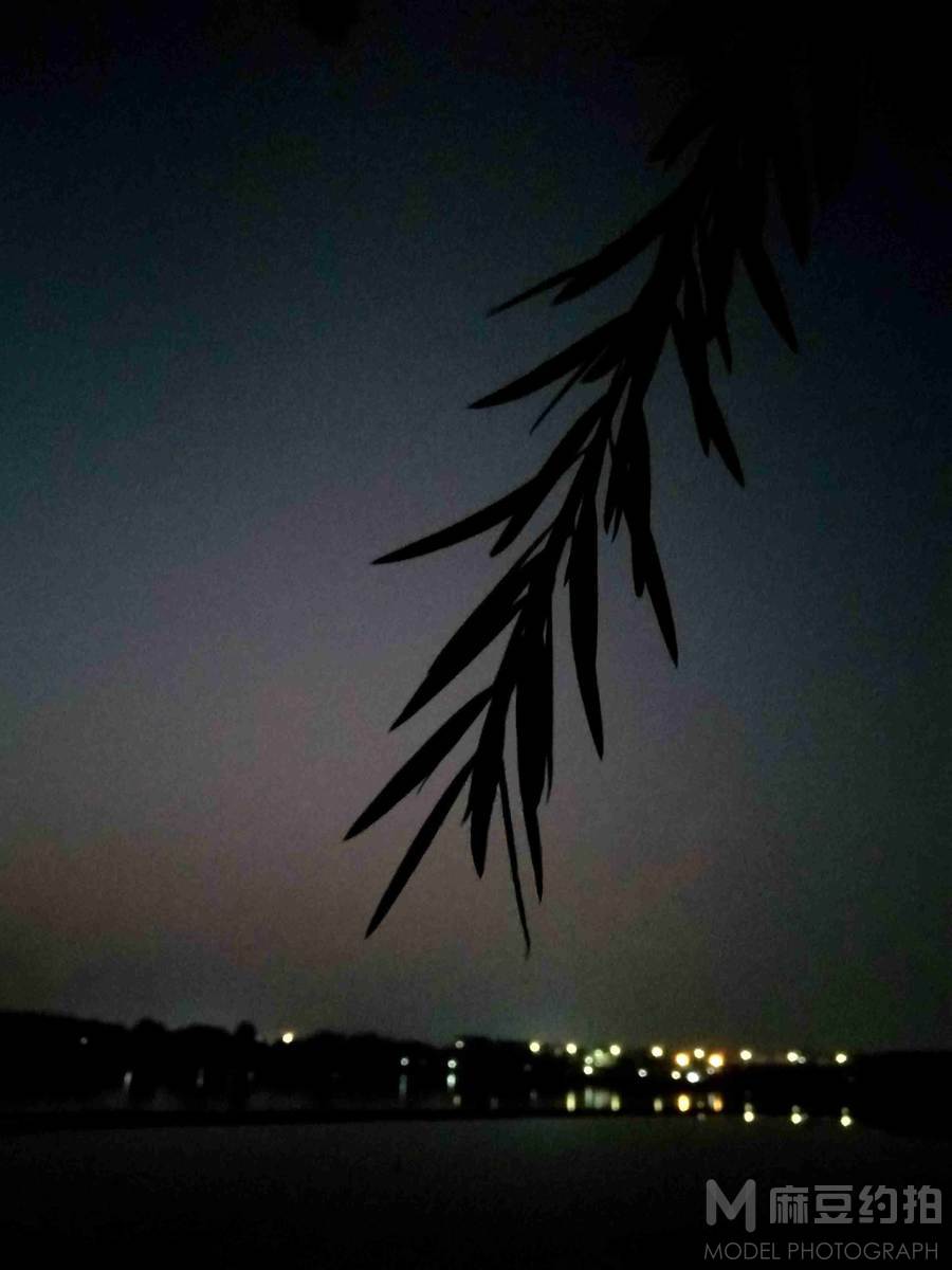 夜景模特