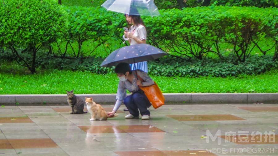 纪实模特