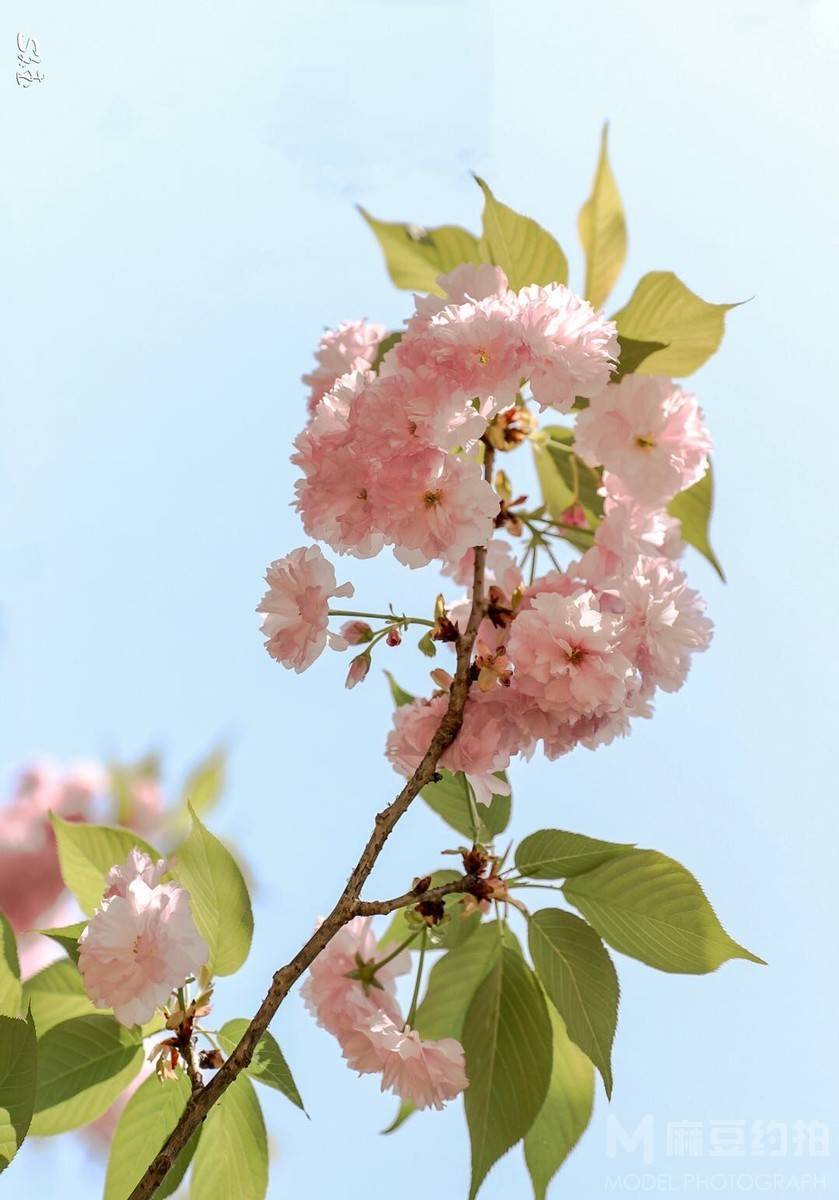 私房模特