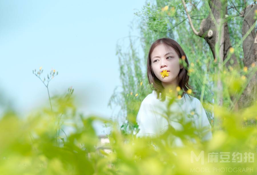清新模特