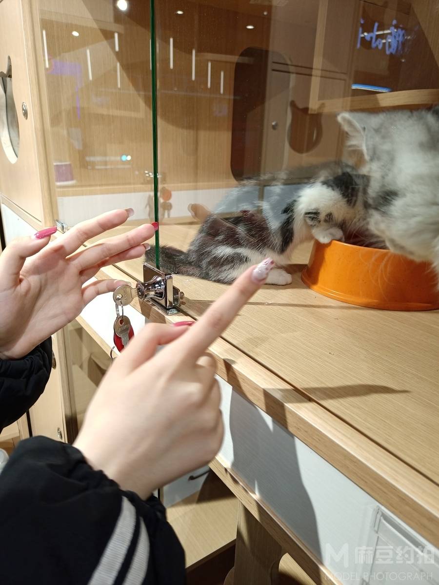情侣模特