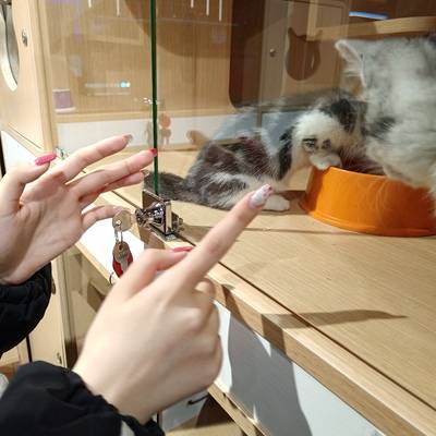 情侣模特