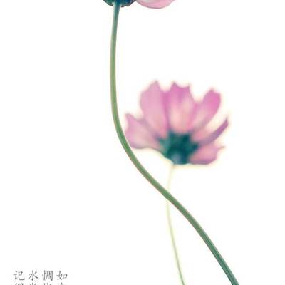 复古模特
