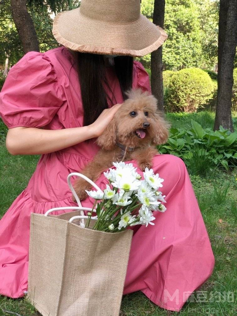 孕照模特