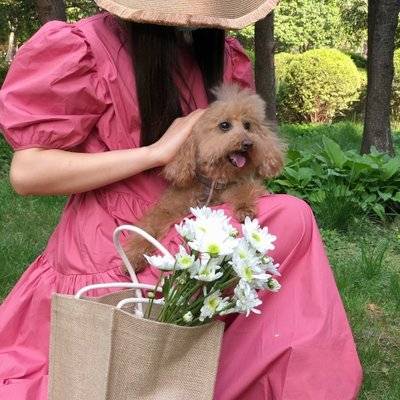 孕照模特