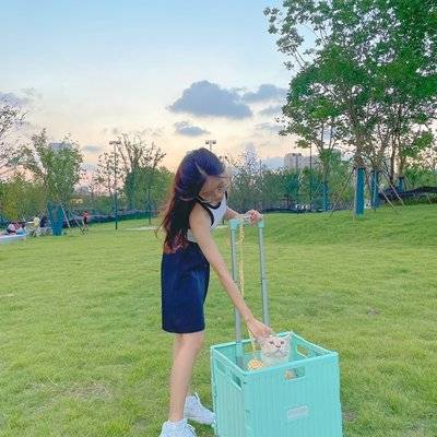 清新模特