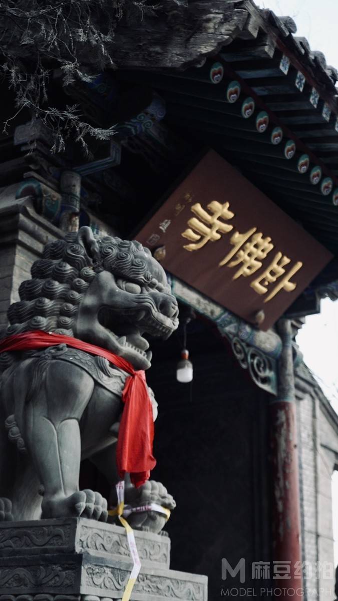 纪实模特