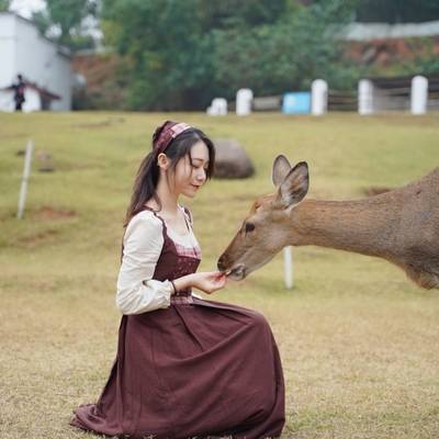 韩系模特