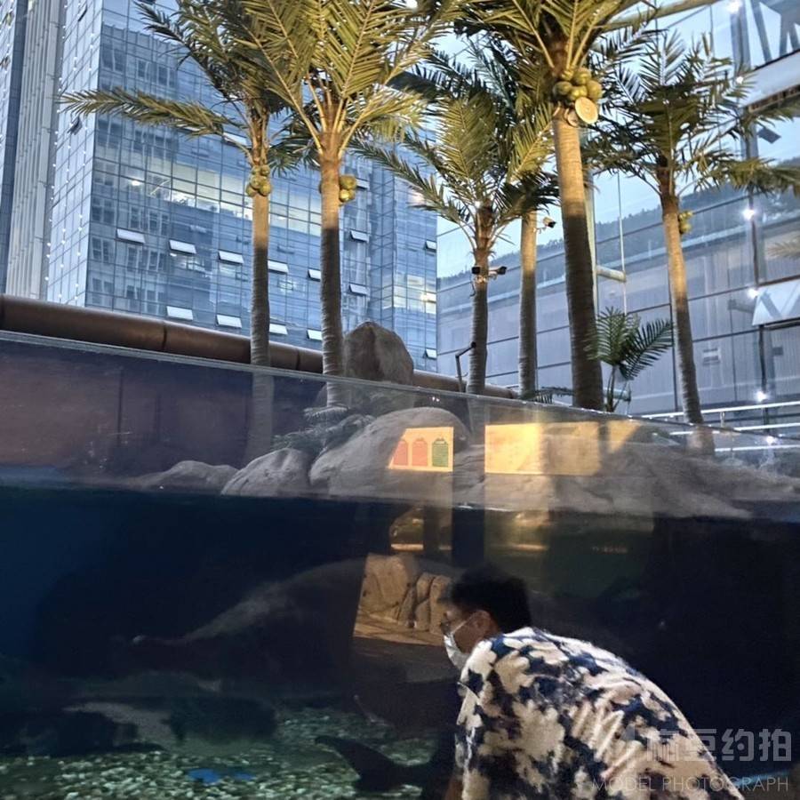 时尚模特