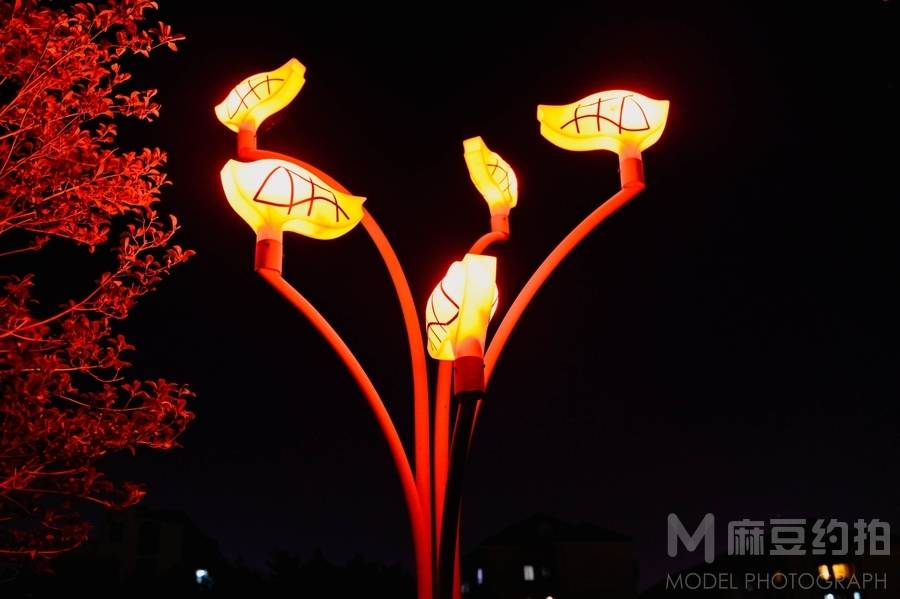 夜景模特