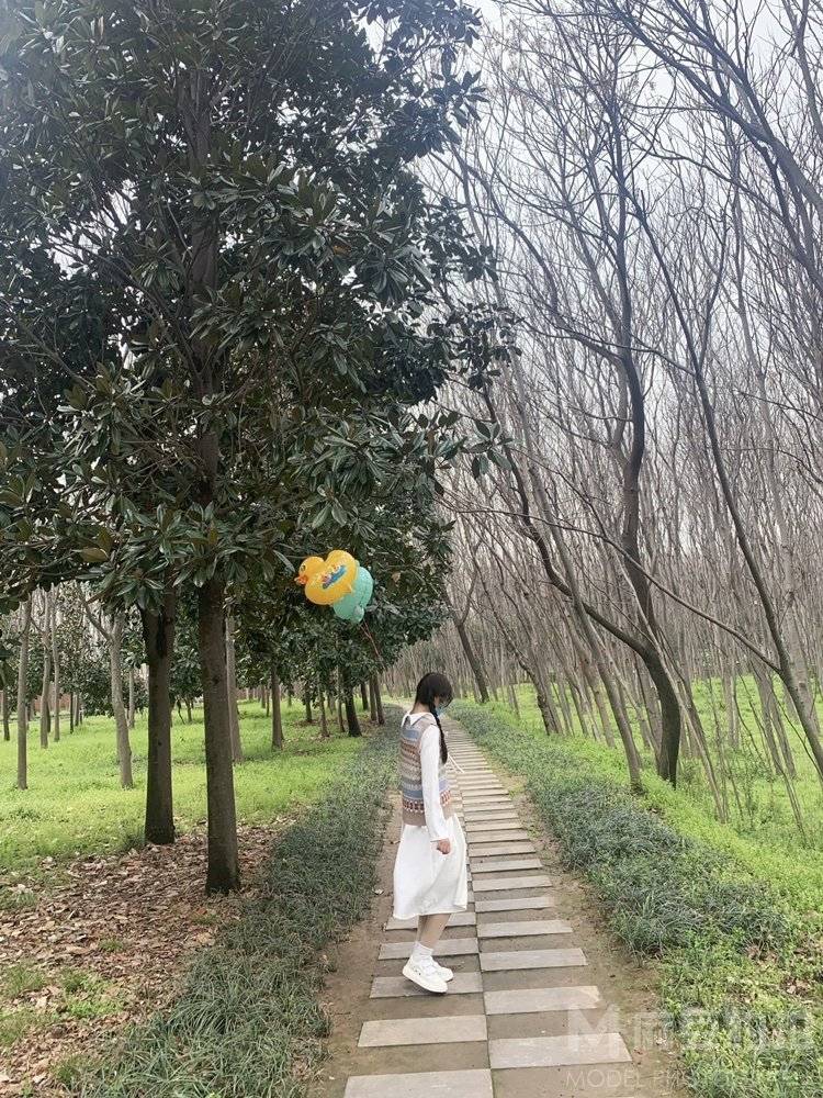 校园模特