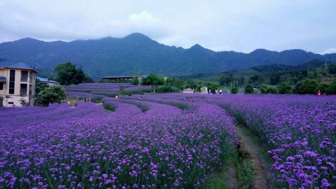 厦门鼓浪屿 厦大 中山街约拍