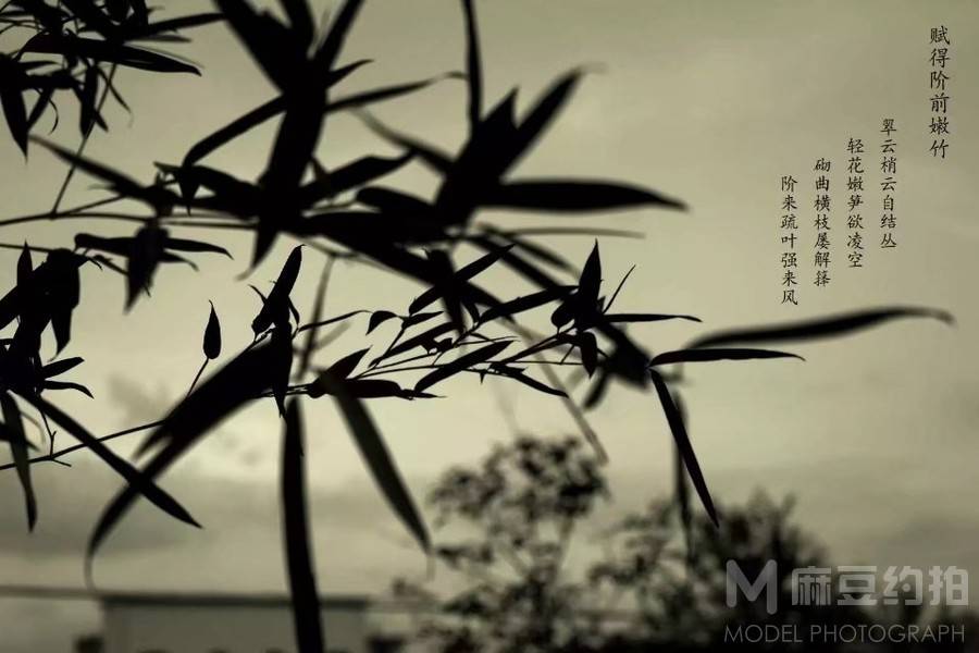 私房模特