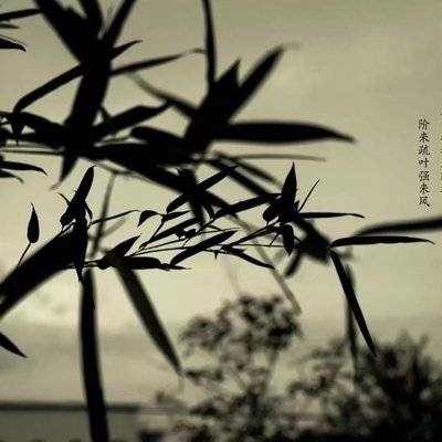 私房模特