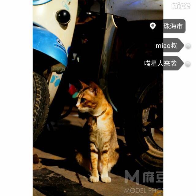 时尚模特