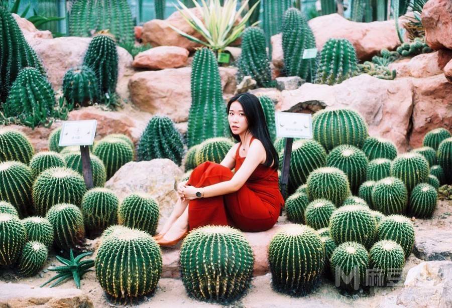 胶片模特