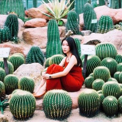 胶片模特