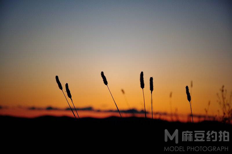 纪实模特