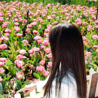 清新模特