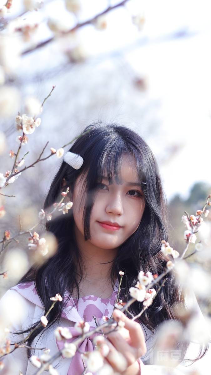 清新模特