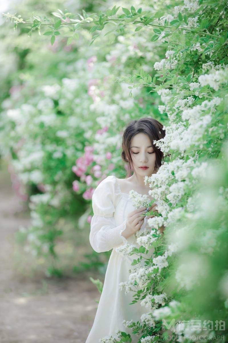 清新模特