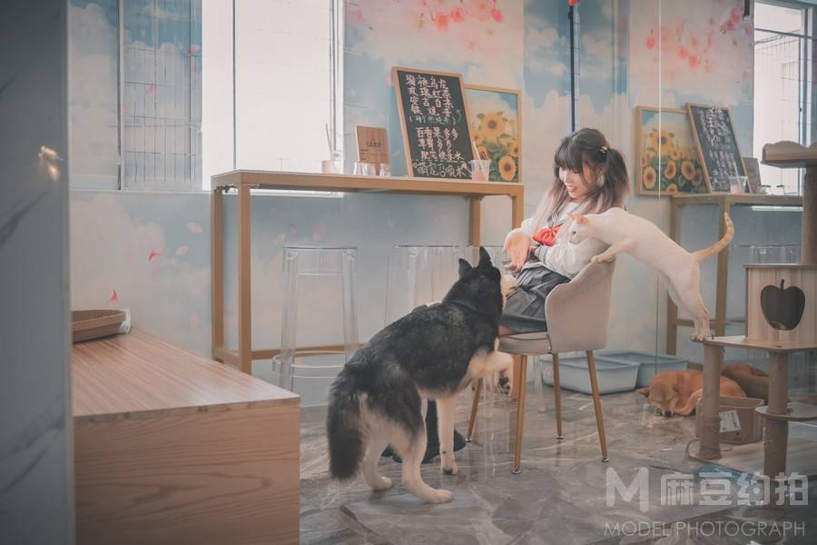 校园模特