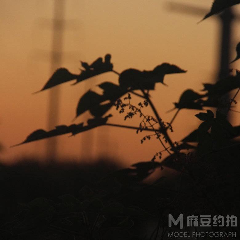 纪实模特