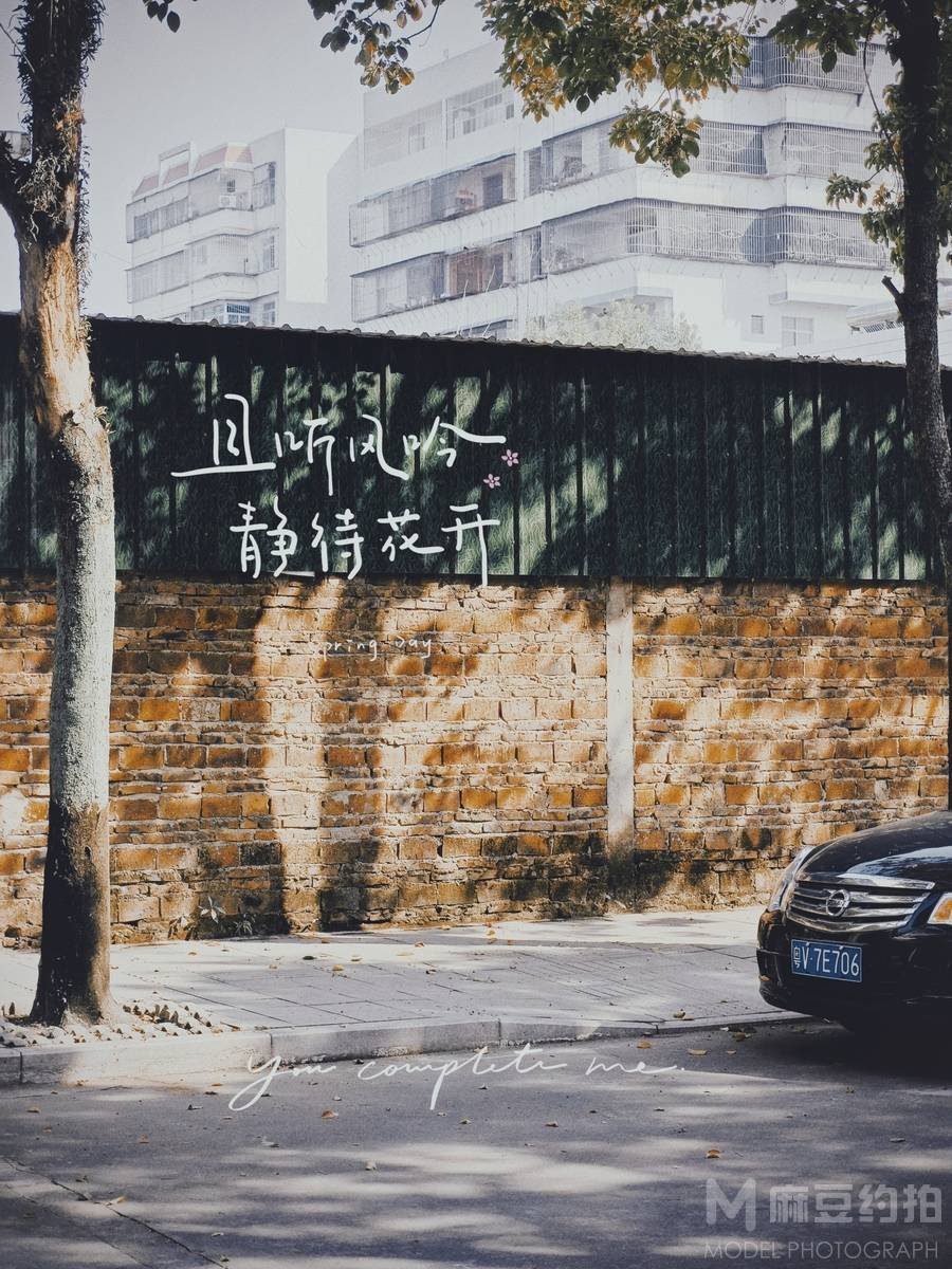 胶片模特