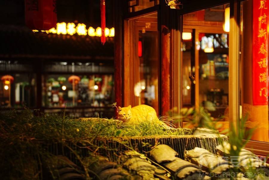夜景模特