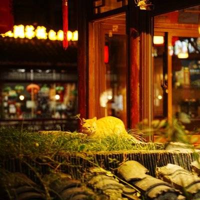 夜景模特