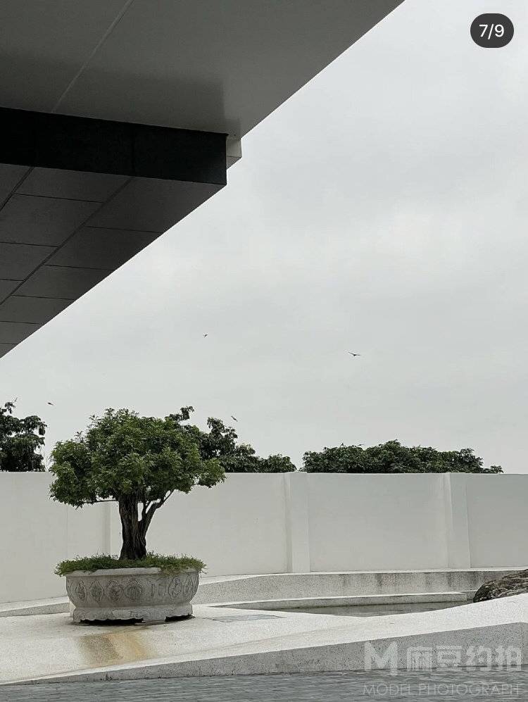 黑白模特