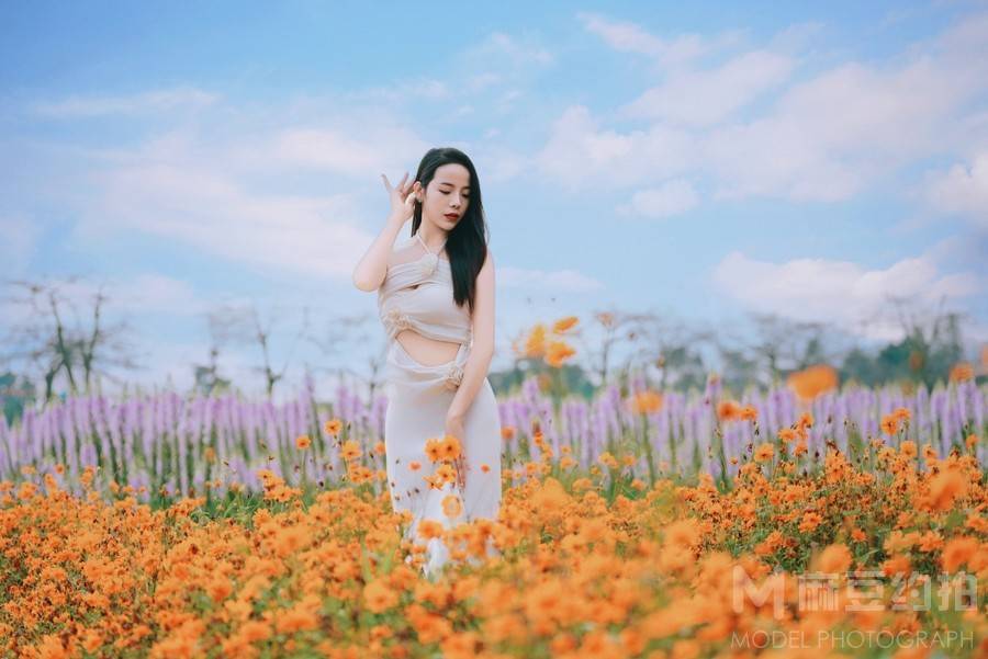 清新模特